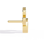 Load image into Gallery viewer, Paw print shaped studs Raj Gems
